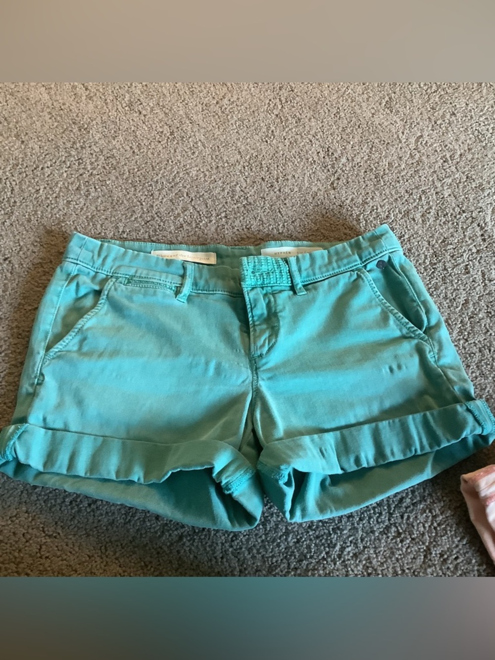 Anthropologie Pilcro Hypen Shorts size 26